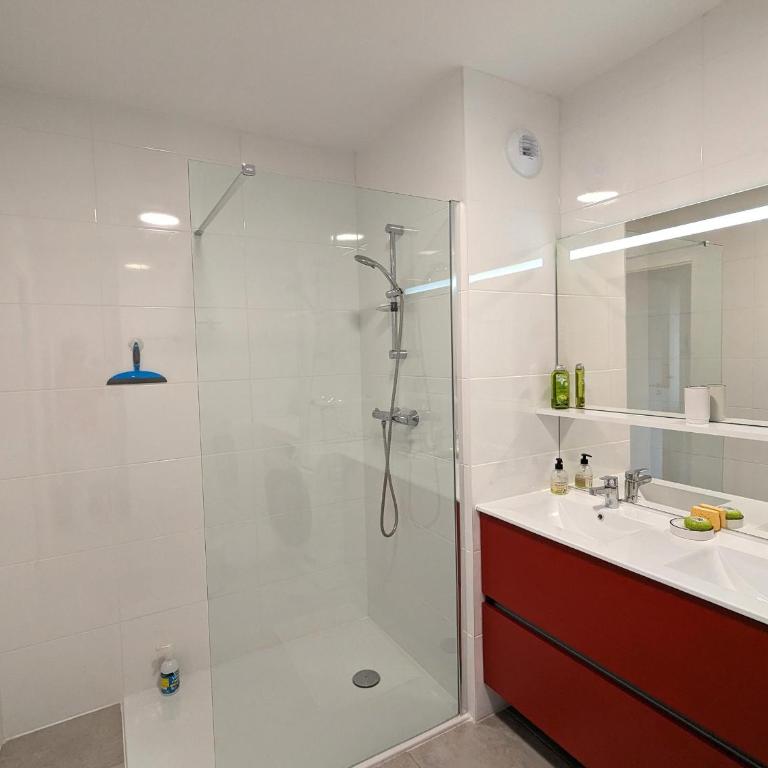 T3 neuf à Arcachon : terrasse, parking et wifi - FR-1-420-153 - Appartement - 8