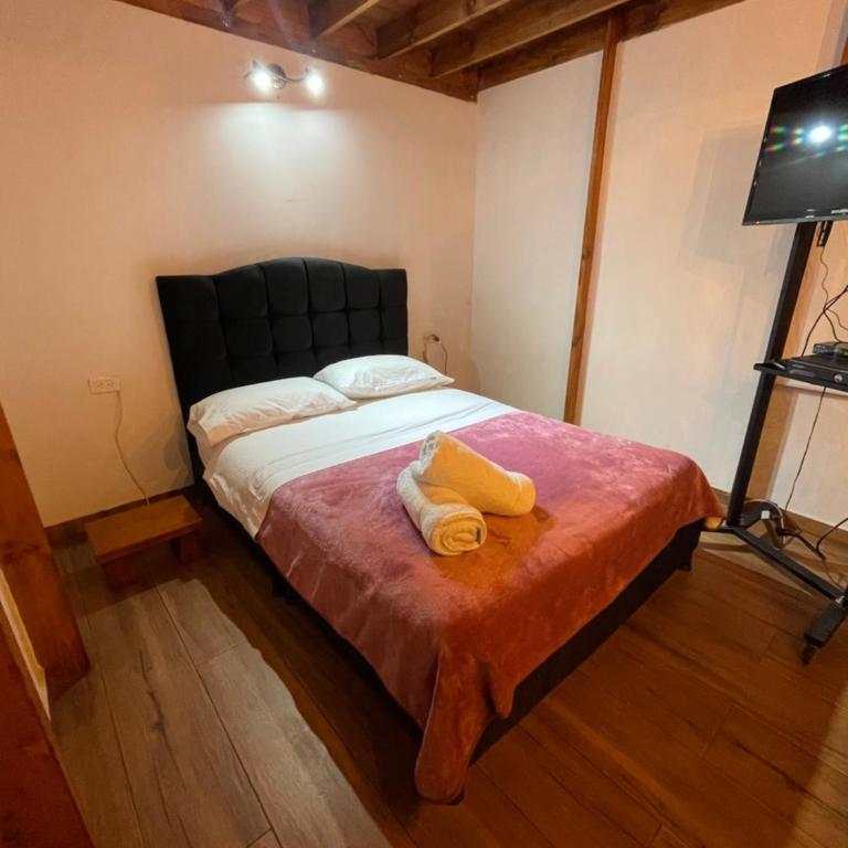 Finca las Margaritas - Tent - 8