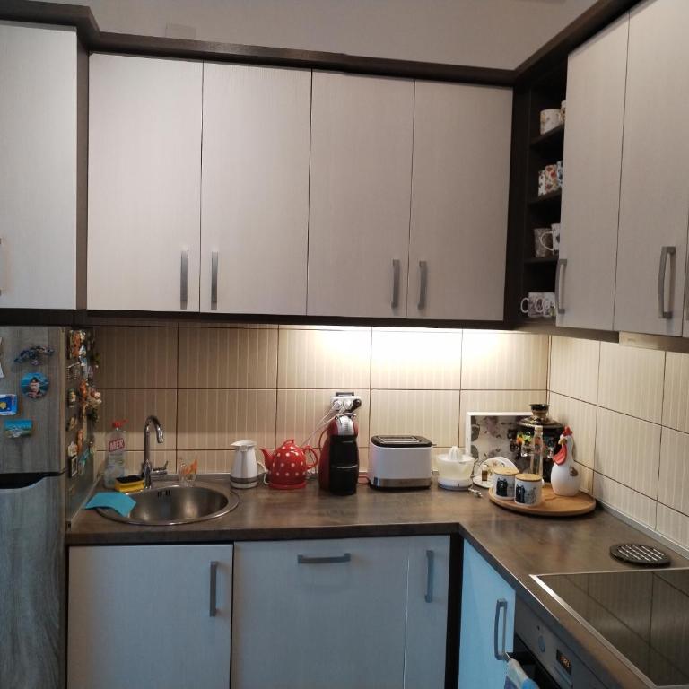 Vrsutska 81 - Apartman sa 3 Spavaće Sobe - 9