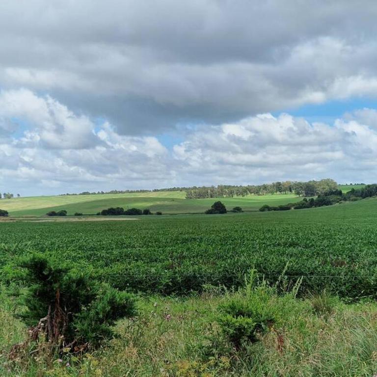 Oasis de la sierra - Casa de 3 dormitorios - 10