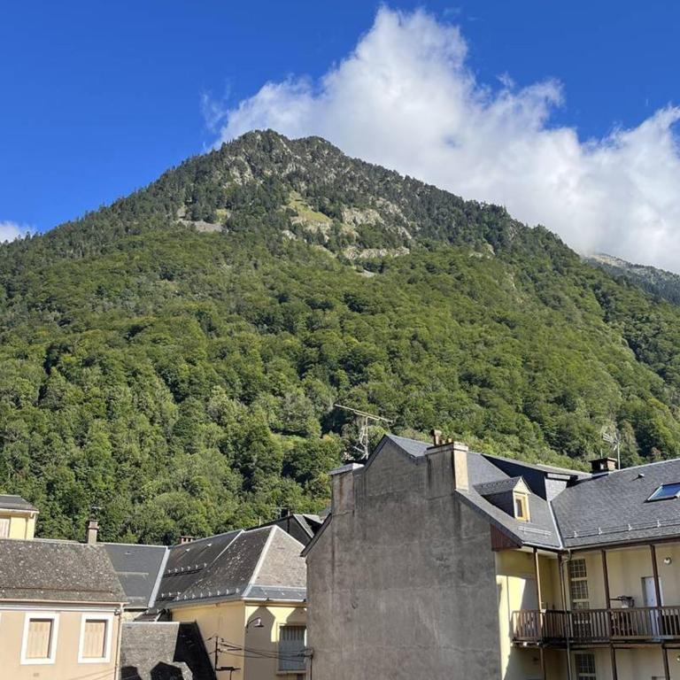 Appartement central - 5/6 pers. - FR-1-234-158 - Apartment (6 Erwachsene) - 17