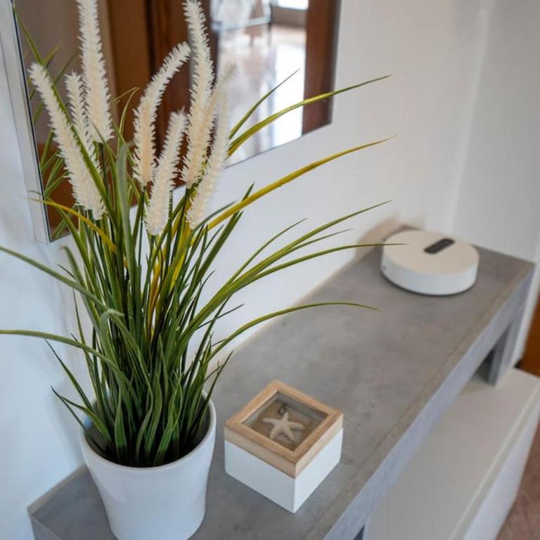 Domus Apulia, Due Passi Dal Mare - Free Parking - - Three-Bedroom Apartment - 19