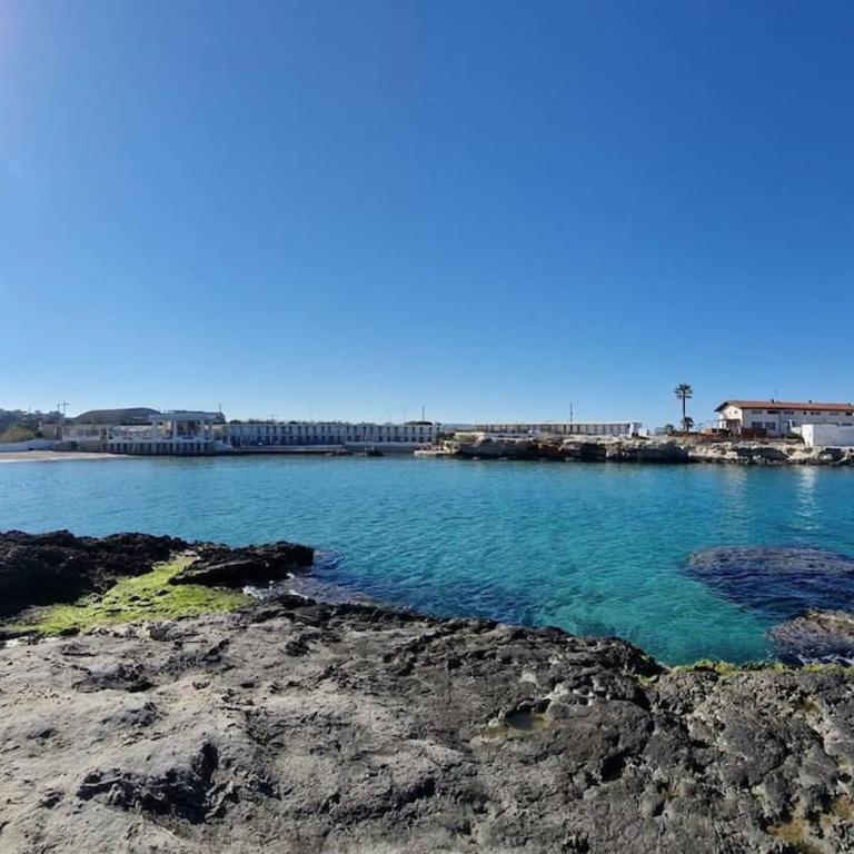 Domus Apulia, Due Passi Dal Mare - Free Parking - - Three-Bedroom Apartment - 42