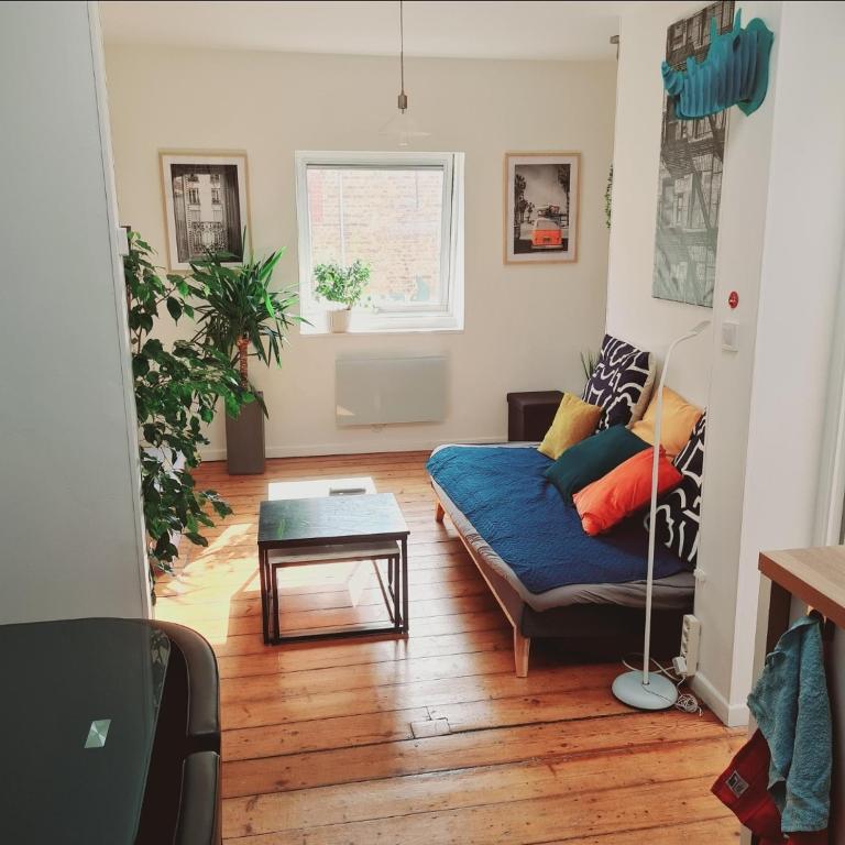 L' effet mer - Appartement 1 Chambre - 1