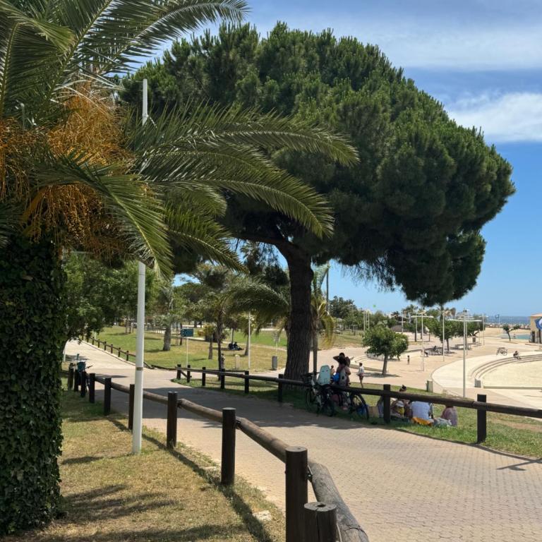 L'instant plage à deux pas CLIM WIFI - Apartment mit 1 Schlafzimmer - 7