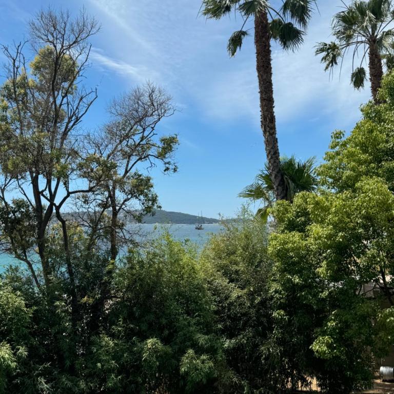 L'instant plage à deux pas CLIM WIFI - Apartment mit 1 Schlafzimmer - 15