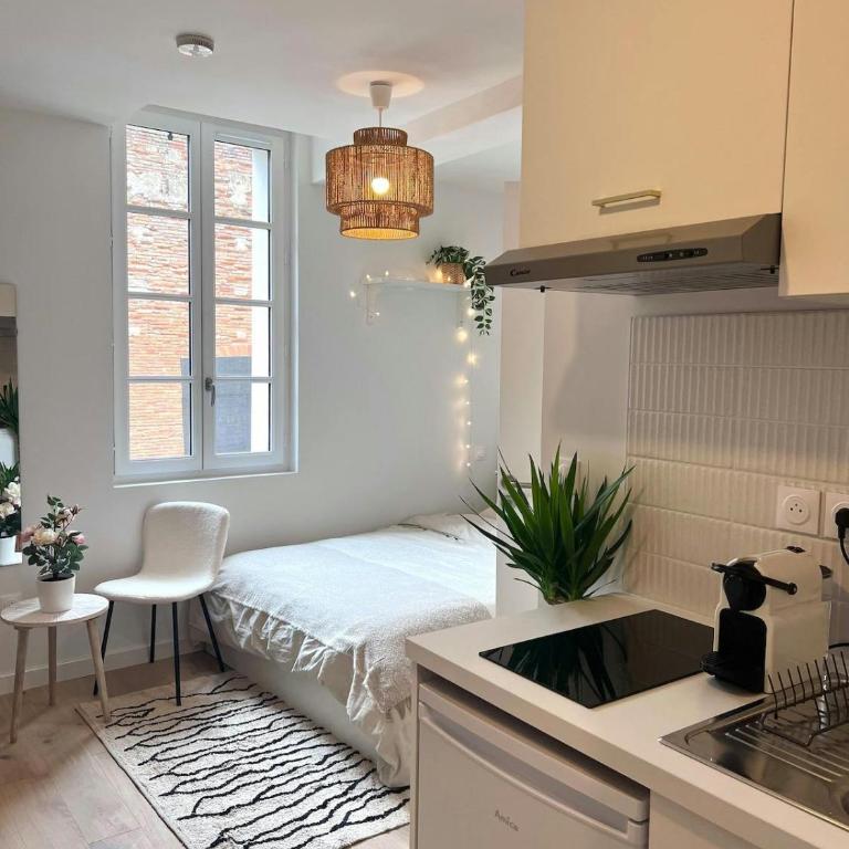 Le Saphir - Appartement 1 Chambre - 1