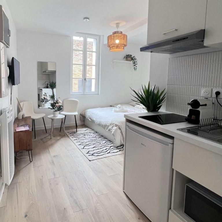 Le Saphir - Appartement 1 Chambre - 2