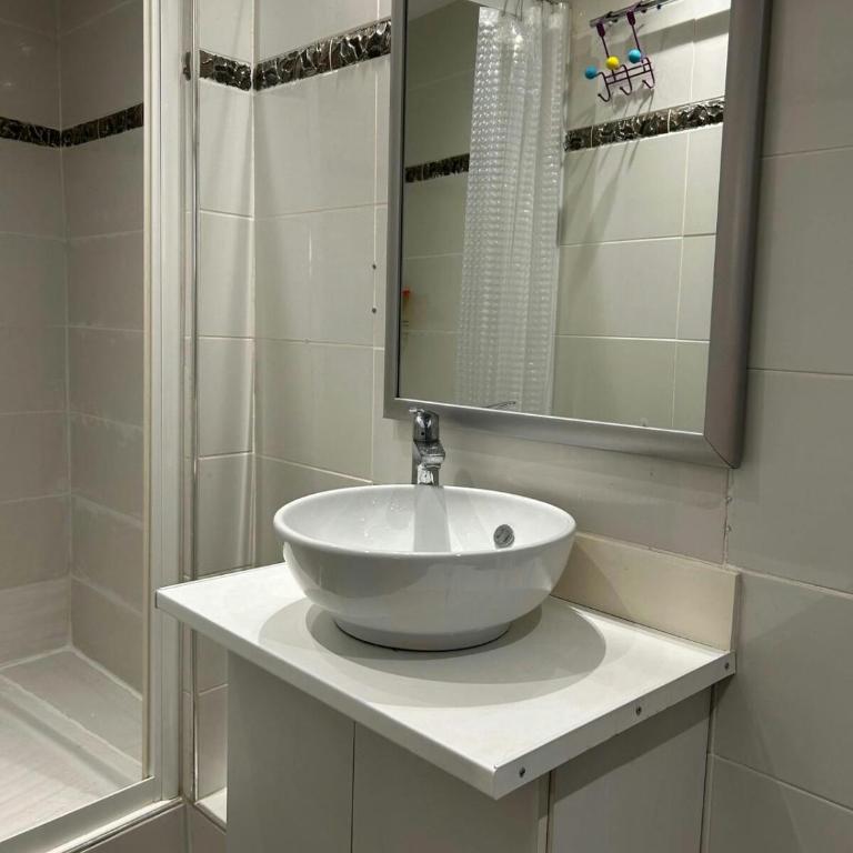 Le Marengo - clim - Gare- centre-ville - Appartement 1 Chambre - 11
