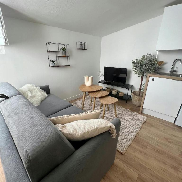 Lembarcadère Toulousain - T1 - Gare- Centre ville - Apartment - 55