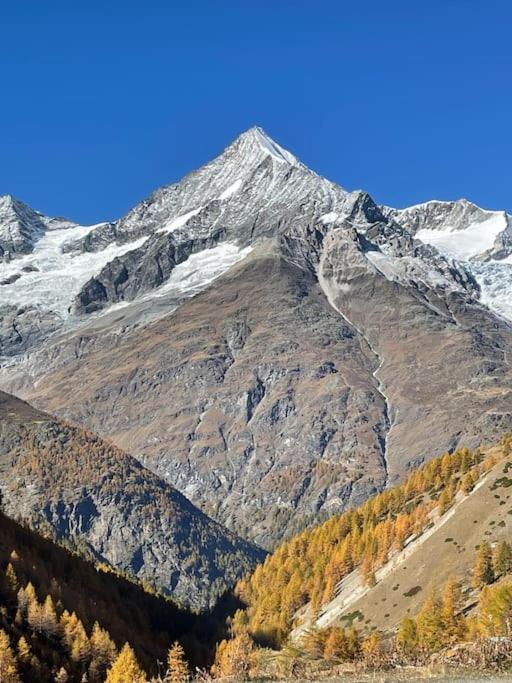 Maisonette Wohnung - Chalet Amethyst in Taesch bei Zermatt - Apartment mit Aussicht und Balkon - 22