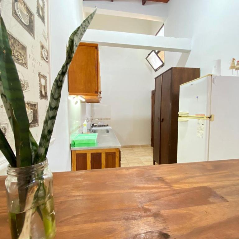 Ale's Apartments - Puerto Iguzú, Misiones - Apartamento Superior de 1 dormitorio - 11