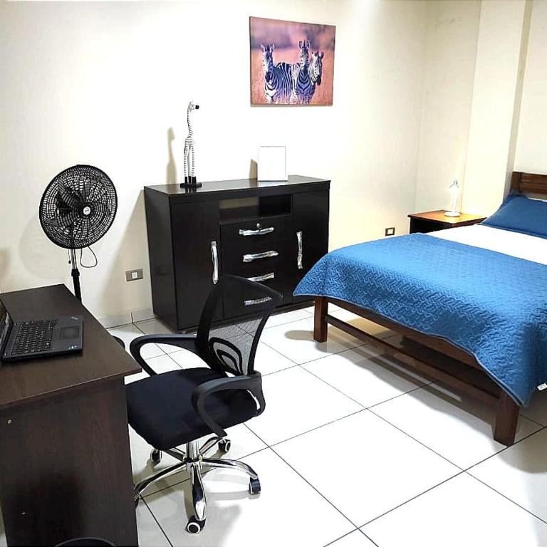 Express Studio Centrico - One-Bedroom Apartment - 1