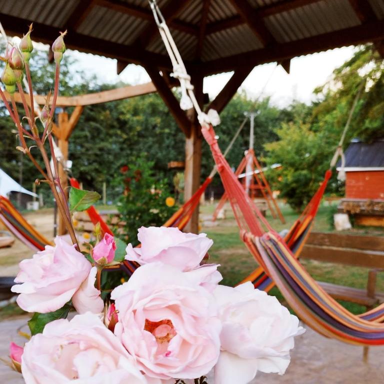 Turismo Jaos Cabañas Tinas y Quincho - Two-Bedroom Chalet - 2