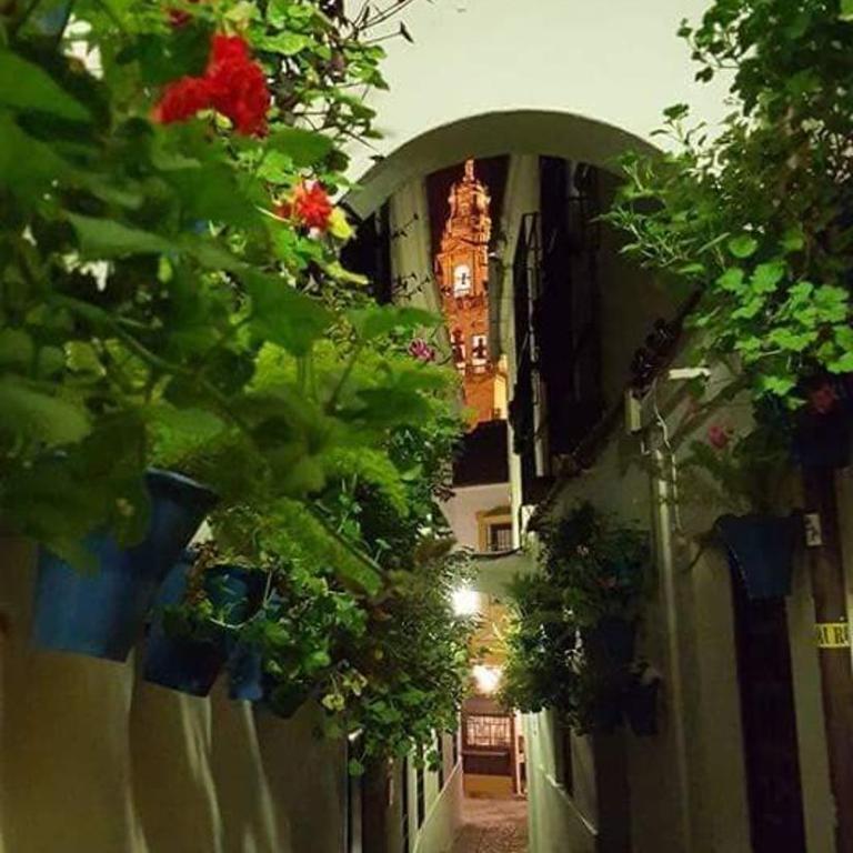 Tu casa en Córdoba fácil aparcamiento - Casa de 2 dormitorios - 22