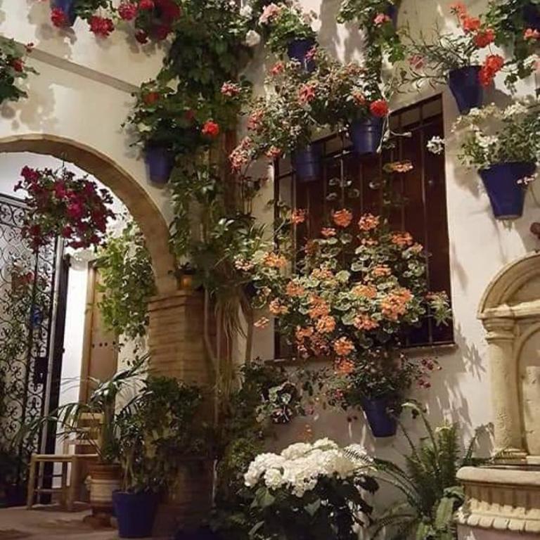 Tu casa en Córdoba fácil aparcamiento - Casa de 2 dormitorios - 31