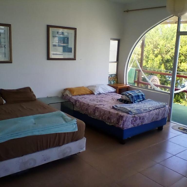 flamingos galapagos lll - One-Bedroom Apartment - 6