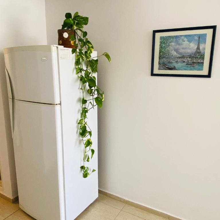 979 Suites, Rosario Norte - Apartamento de 1 dormitorio - 17