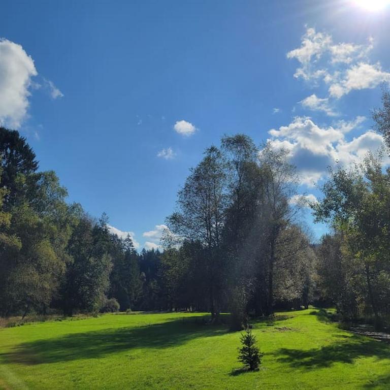 Chalet à louer, Spa, sauna, billard, gerardmer - Chalet - 38