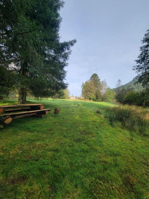 Chalet à louer, Spa, sauna, billard, gerardmer - Chalet - 39
