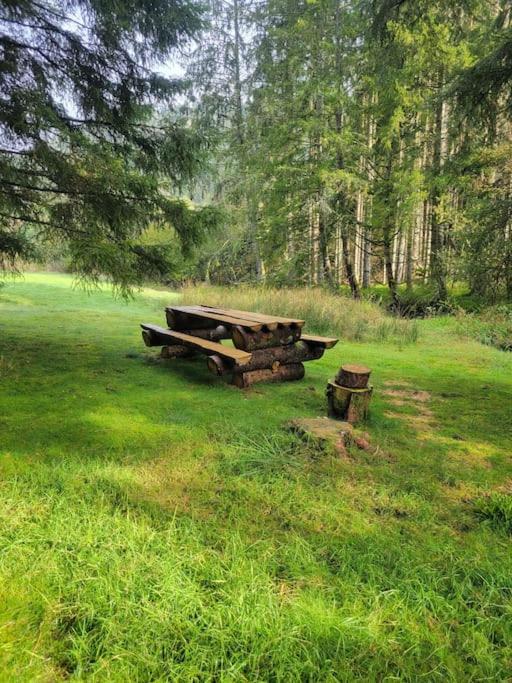 Chalet à louer, Spa, sauna, billard, gerardmer - Chalet - 41