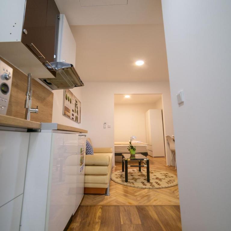 Four Seasons Apartments - Apartman sa 1 Spavaćom Sobom - 8