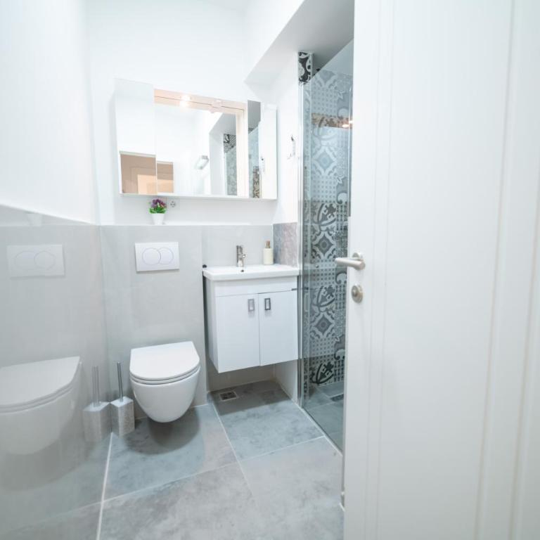 Four Seasons Apartments - Deluks Apartman sa 2 Spavaće Sobe - 12