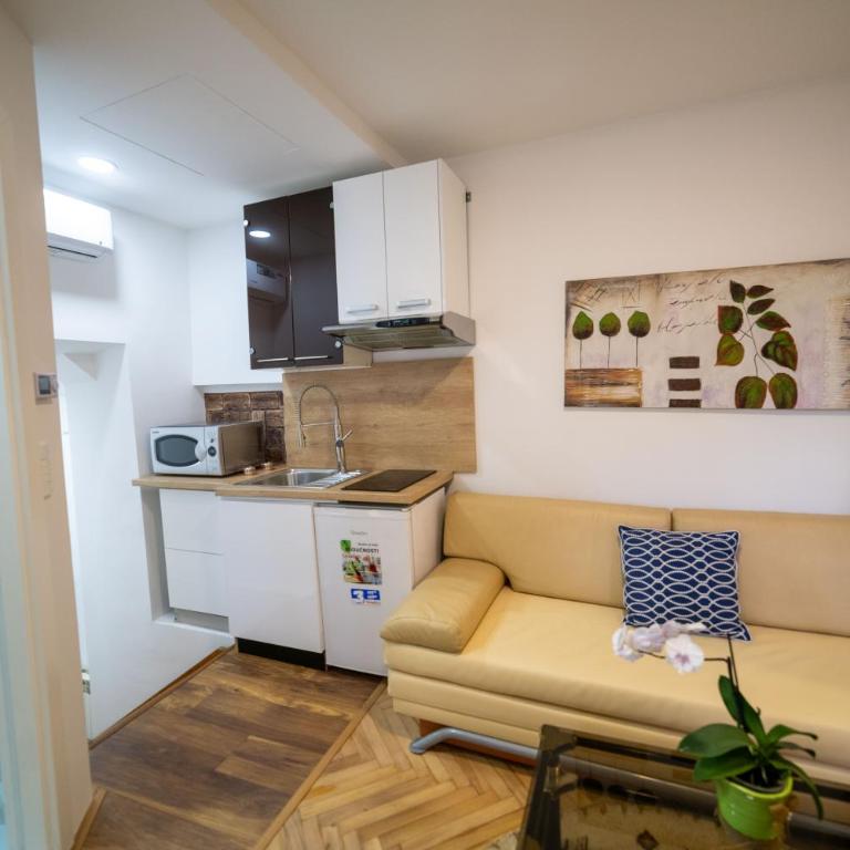 Four Seasons Apartments - Apartman sa 1 Spavaćom Sobom - 10
