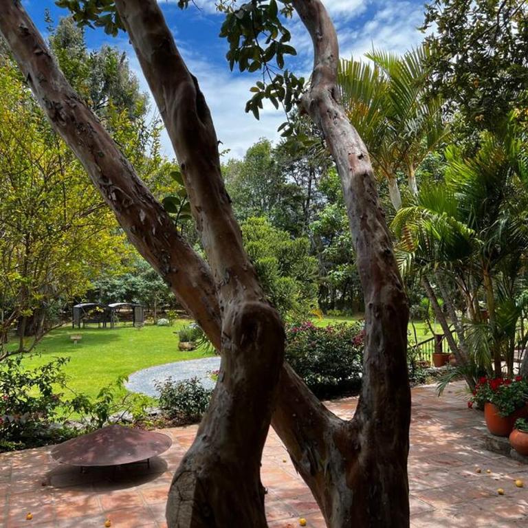 Hotel Aire Libre - Suite 6 - One-Bedroom Apartment - 21