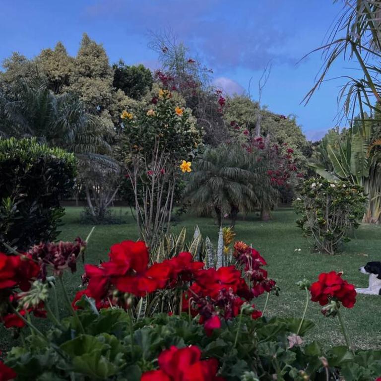 Finca Aire Libre - Apartamento E - Apartamento de 1 dormitorio - 17