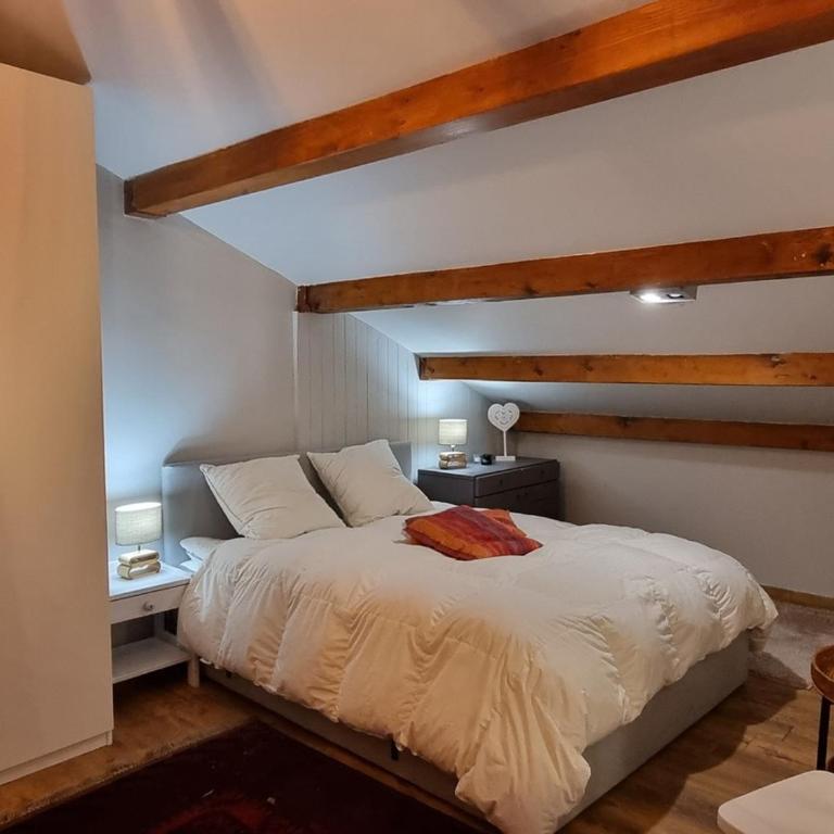 Duplex lumineux 6/7 pers, accès pistes, WIFI, animaux acceptés - Appartamento con 2 Camere da Letto - 4