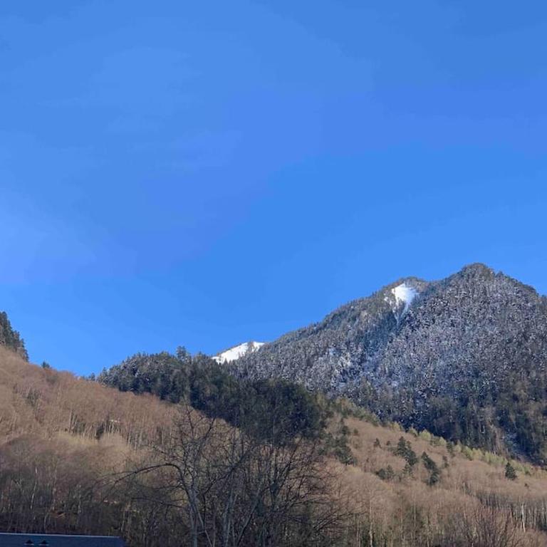 "La clé dorée" Chalet mitoyen avec jardin et -WIFI- - Three-Bedroom Apartment - 13