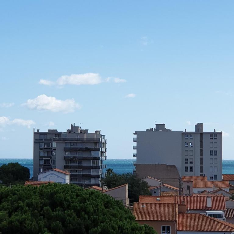 Les Marines du Soleil Canet-Plage - Apartamento de 1 dormitorio - 53