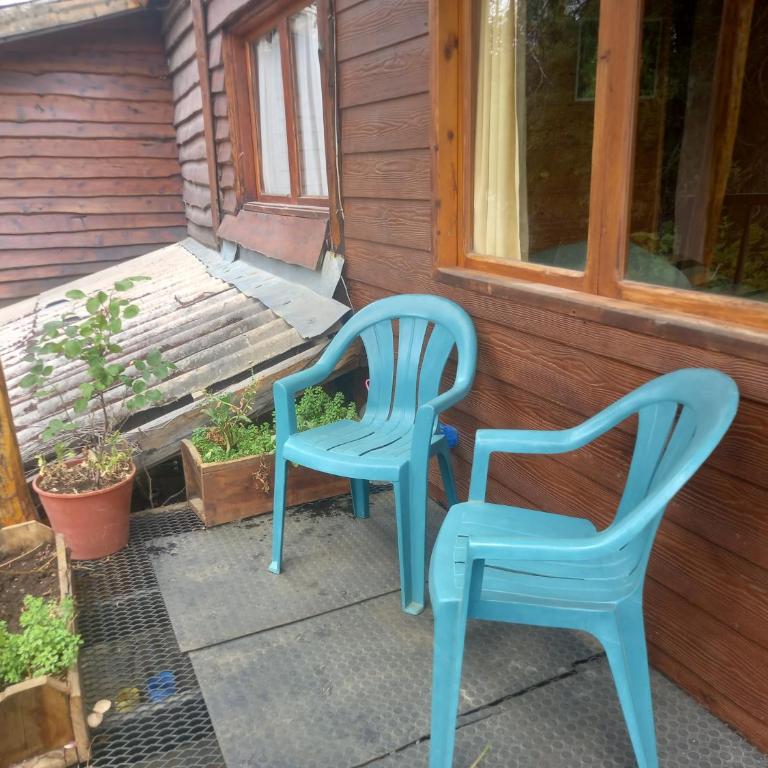 Entre árboles - Apartamento de 1 dormitorio - 10