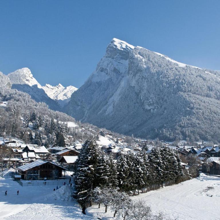 Appartement neuf avec balcon et navette pour le ski - FR-1-624-113 - Apartment - 10