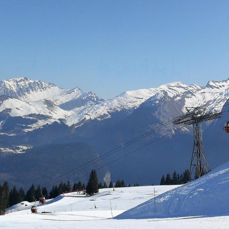 Appartement neuf avec balcon et navette pour le ski - FR-1-624-113 - Apartment - 11