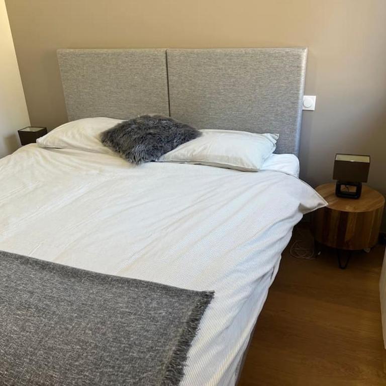 Ski in and ski out in Oz, Alpe d'Huez - Appartement 3 Chambres Premium - 22