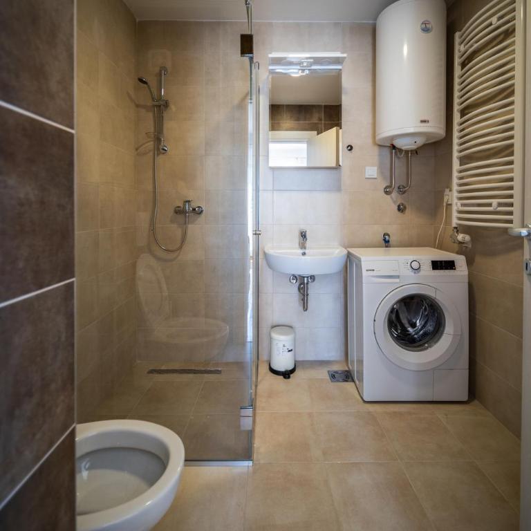 Penthouse Belgrade - Apartman sa 1 Spavaćom Sobom - 9