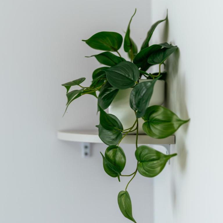 Penthouse Belgrade - Apartman sa 1 Spavaćom Sobom - 19