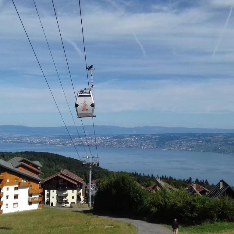 Chalet les Alpages vue panoramique sur le lac Léman - Chalet - 33