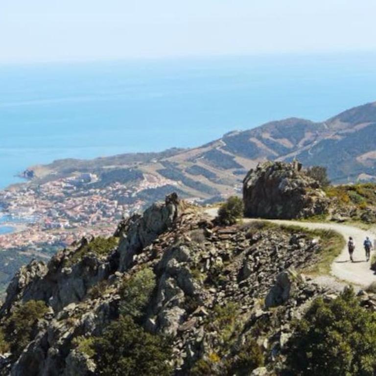 Charmant séjour au cœur des vignes de Banyuls - Haus mit 2 Schlafzimmern - 3