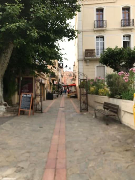 Charmant séjour au cœur des vignes de Banyuls - Haus mit 2 Schlafzimmern - 36
