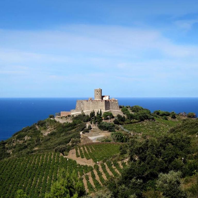 Charmant séjour au cœur des vignes de Banyuls - Haus mit 2 Schlafzimmern - 50