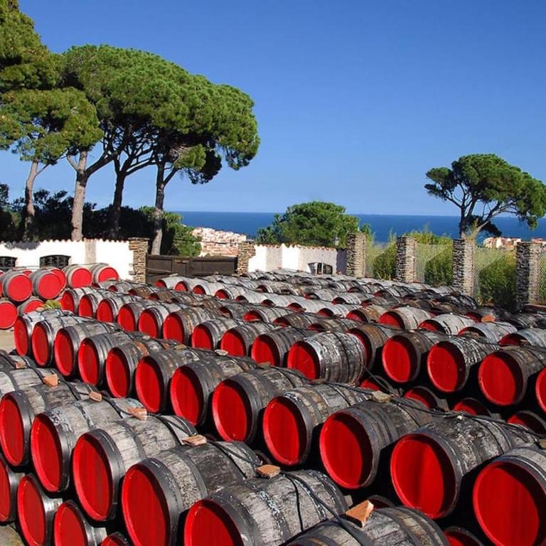 Charmant séjour au cœur des vignes de Banyuls - Haus mit 2 Schlafzimmern - 53