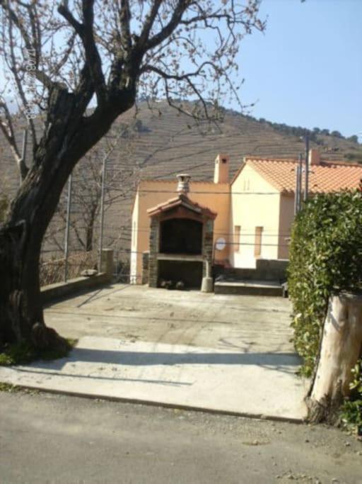 Charmant séjour au cœur des vignes de Banyuls - Haus mit 2 Schlafzimmern - 67