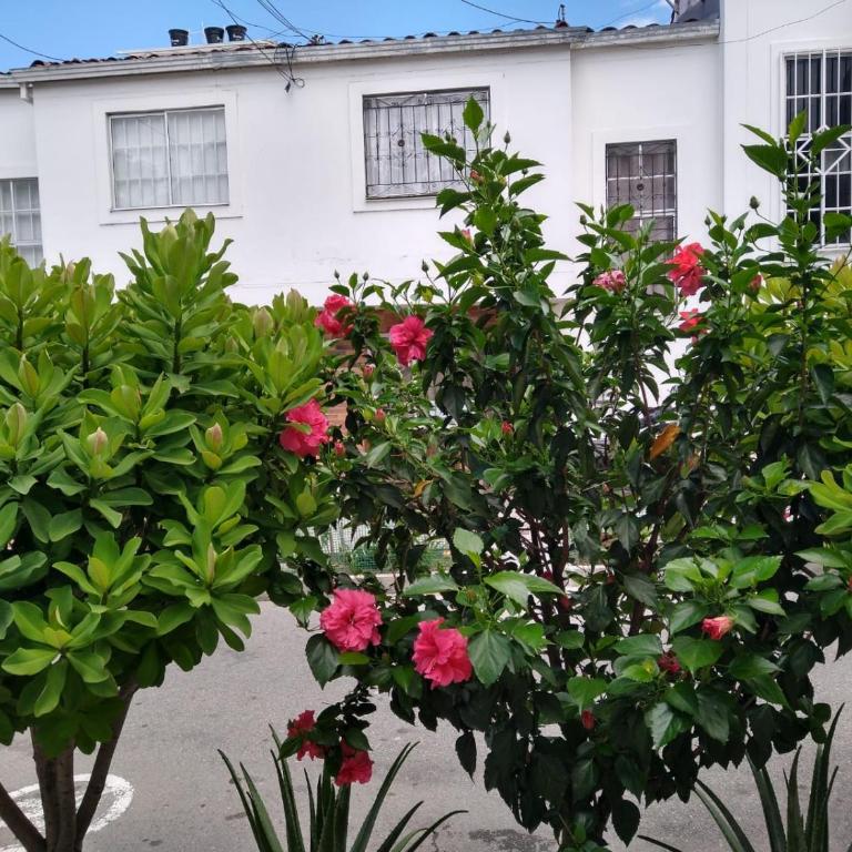 Linda Casa de dos pisos en Floridablanca, Comoda y Privada - Casa de 2 dormitorios - 2