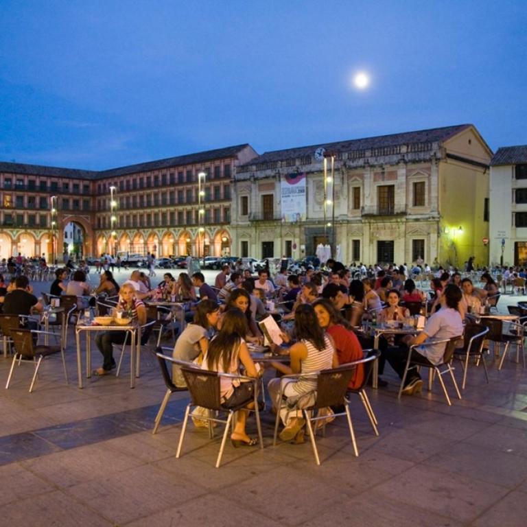 Terraza de la Axerquía - Apartamento de 3 dormitorios - 39