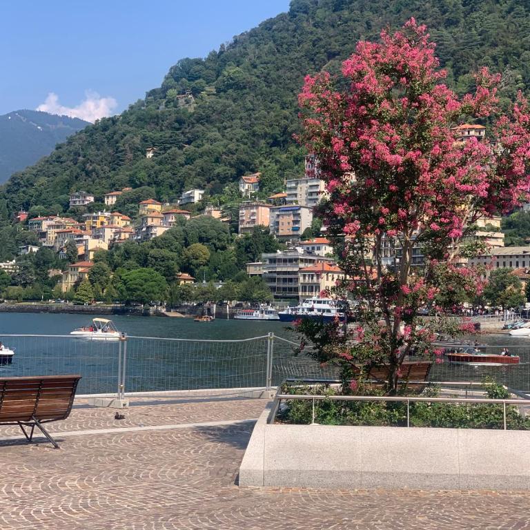 Zeus - Luxury Apartment - Appartamento con 3 Camere da Letto - 58