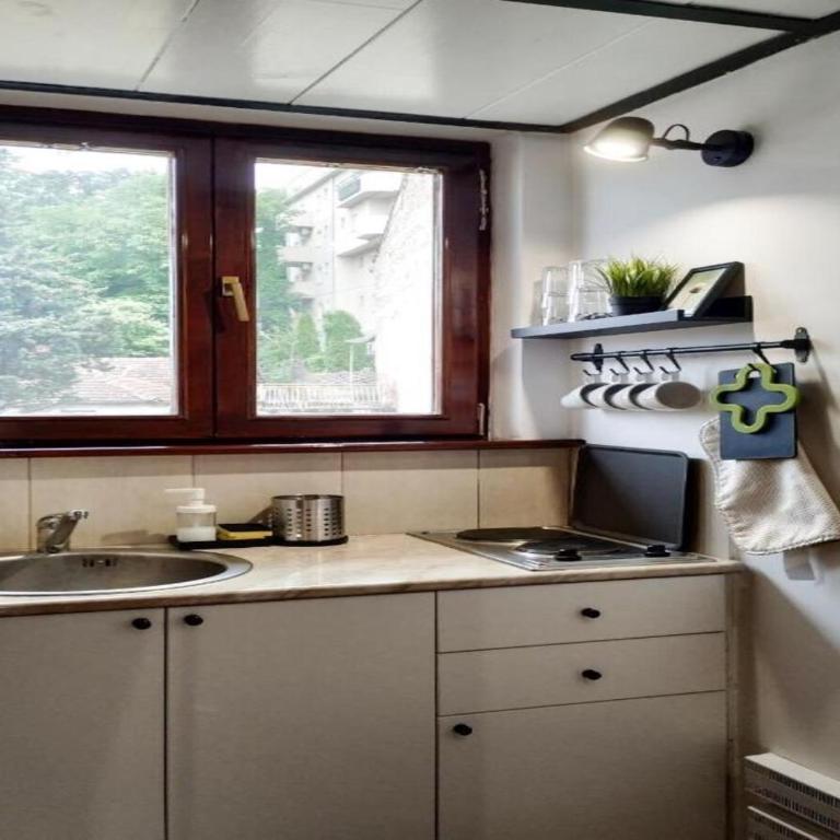 Vrnjačka Banja - Apartman Zen - Apartman sa 1 Spavaćom Sobom - 10
