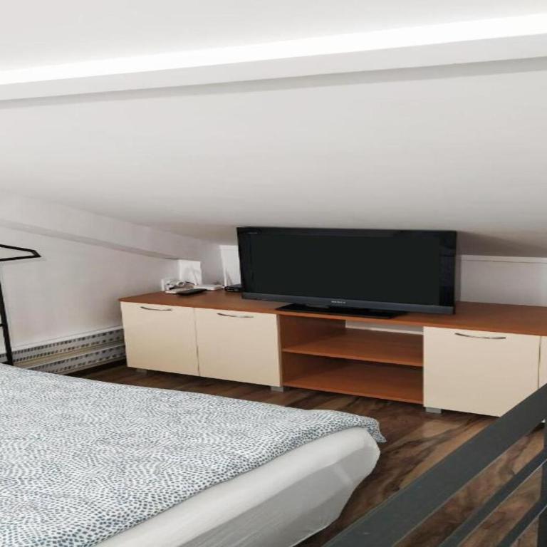 Vrnjačka Banja - Apartman Zen - Apartman sa 1 Spavaćom Sobom - 15